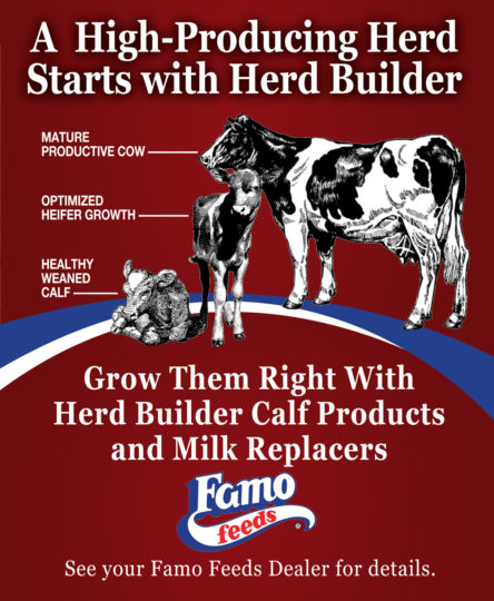 Famo_CTA_Herd_Builder_2