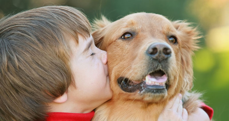 pets pets